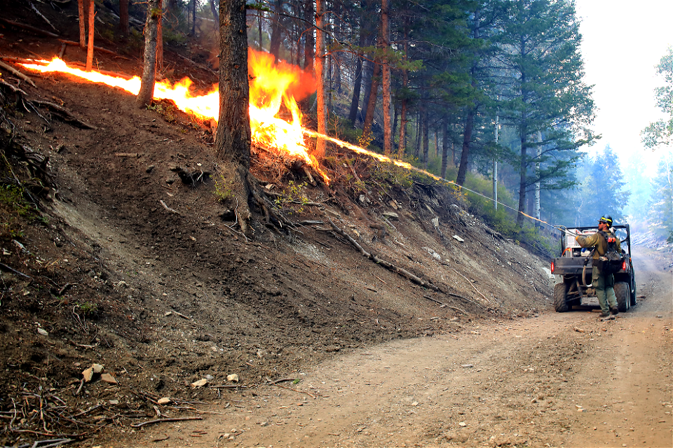 2022 Prescribed Fire