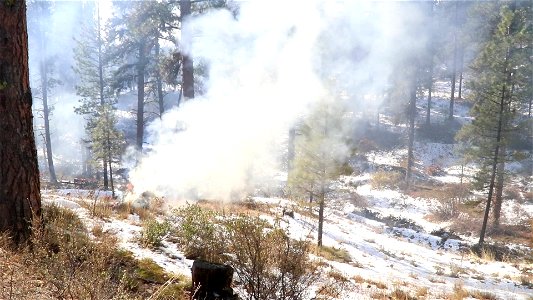 Charcoal Gulch Pile Burn, Idaho City