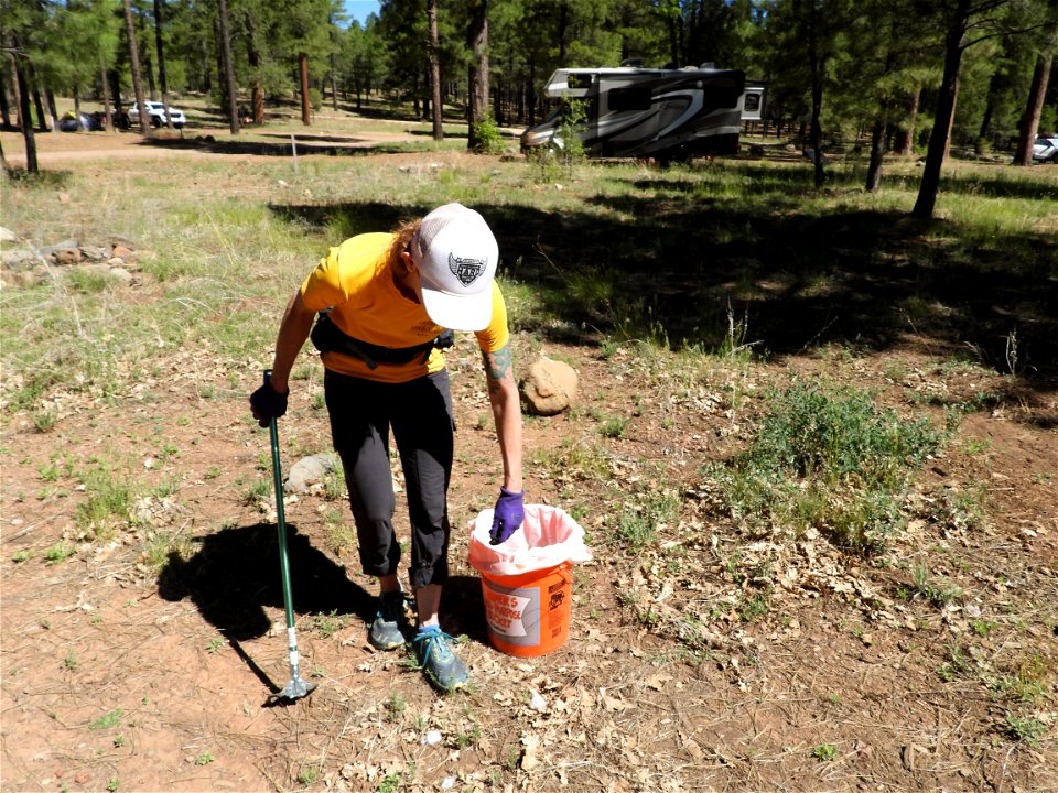 Pickin' Up in the Pines May 2022
