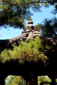 Teajosan Mountain Hiking