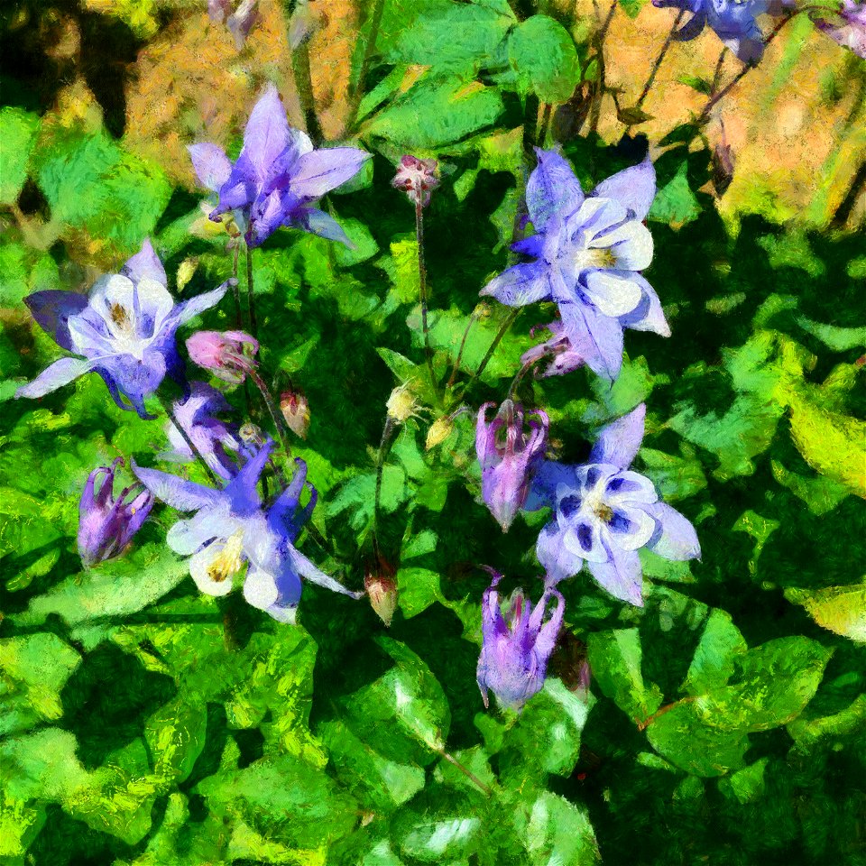 floral_DAP_Monet