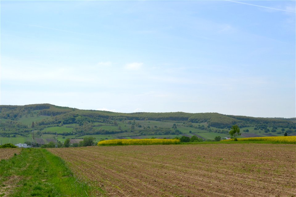 Field