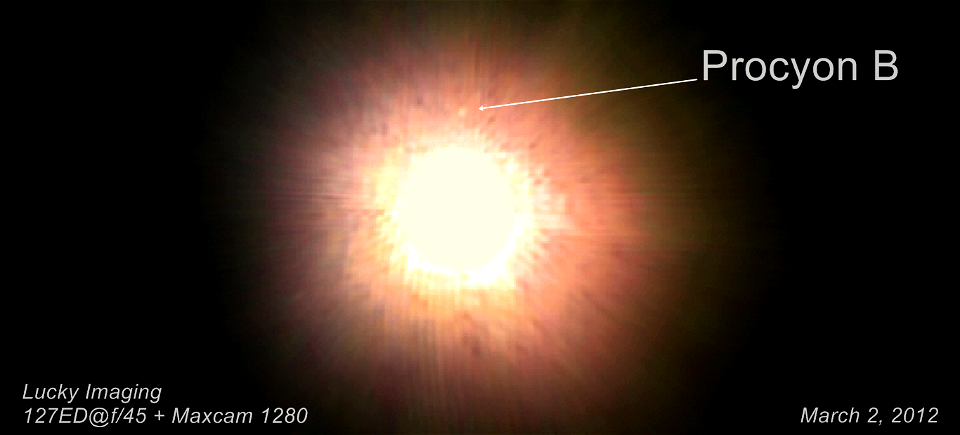 Procyon B