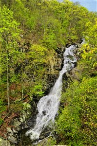 Whiteoak Falls