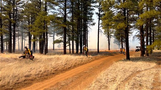 Horseshoe Prescribed Fire