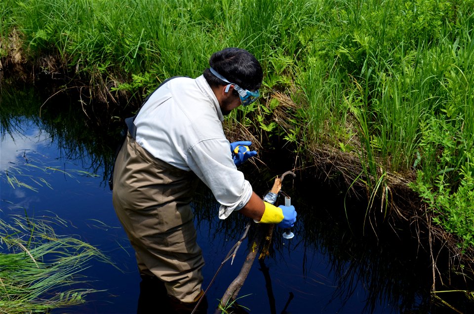 Seasonal employee Jesse Goodin-Mendoza checking Ogontz photo