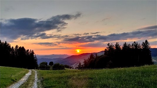 IMG_20220727_205730