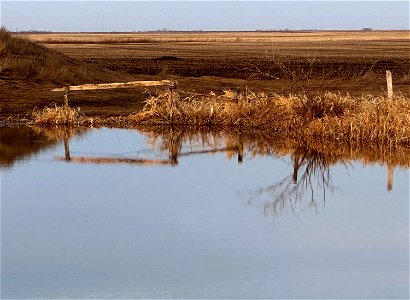 Across Latham Lake