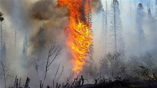Pioneer Fire, Boise National Forest