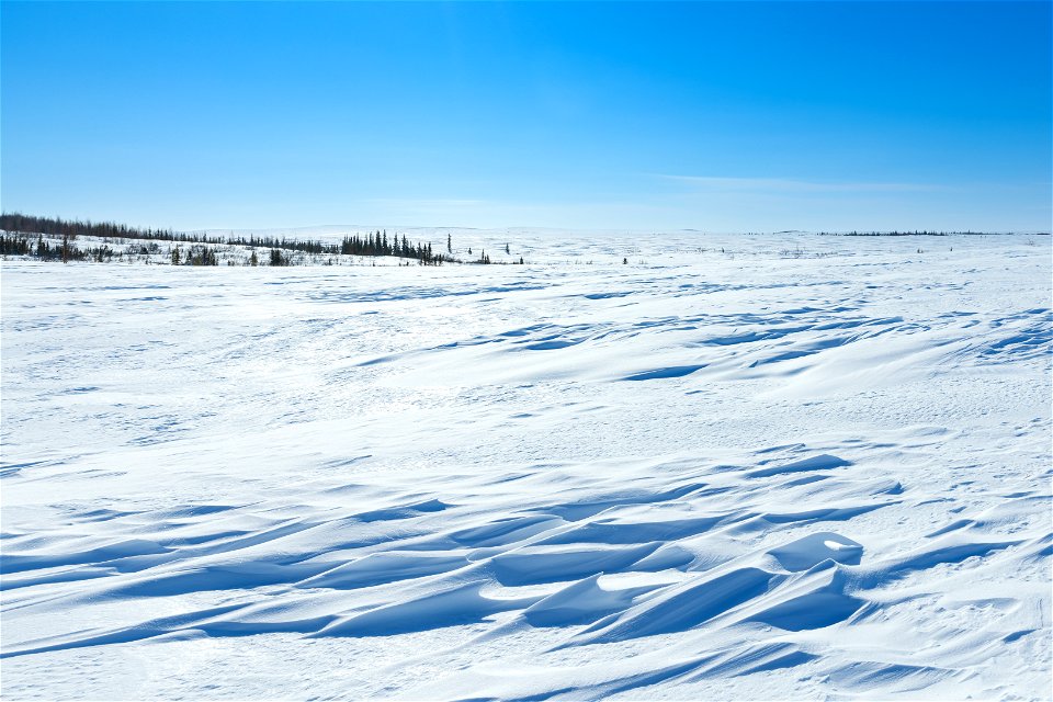 Textures of snow at Selawik National Wildlife Refuge