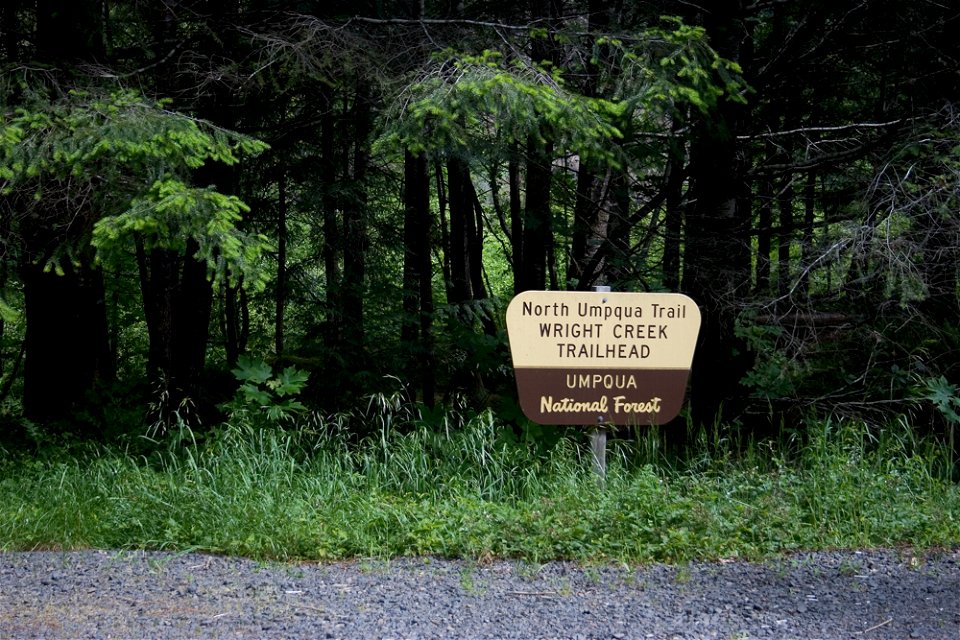 wright-creek-thjpg_49364034063_o