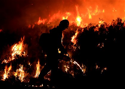 Director's Pick 2022 BLM Fire Employee Photo Contest Category - Fire Personnel