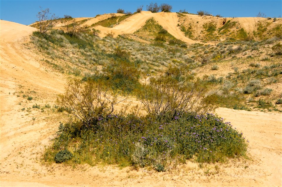 Dove Springs OHV Area
