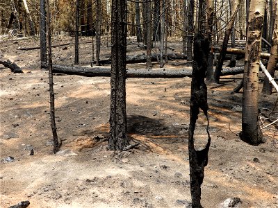 Burned Area Emergency Response media briefing photo