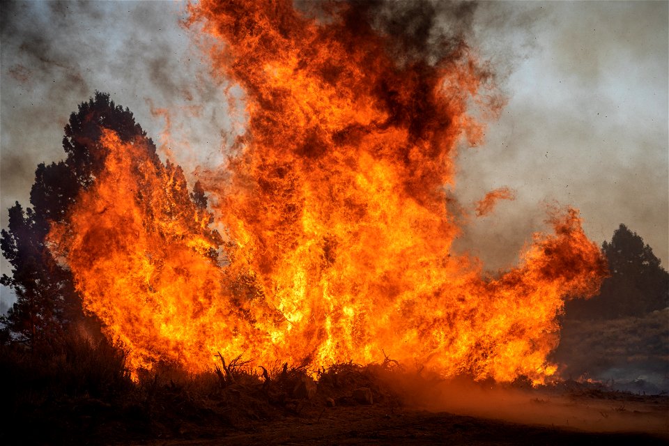 Soldiers on Dixie Fire