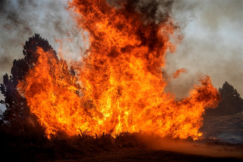 Soldiers on Dixie Fire photo