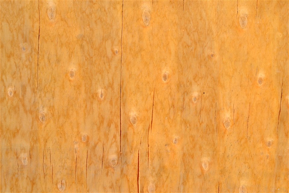 Texture