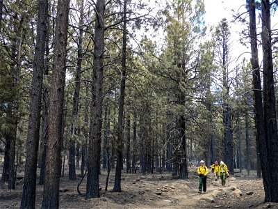 Burned Area Emergency Response media briefing