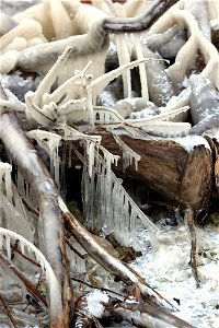 Interesting Ice photo