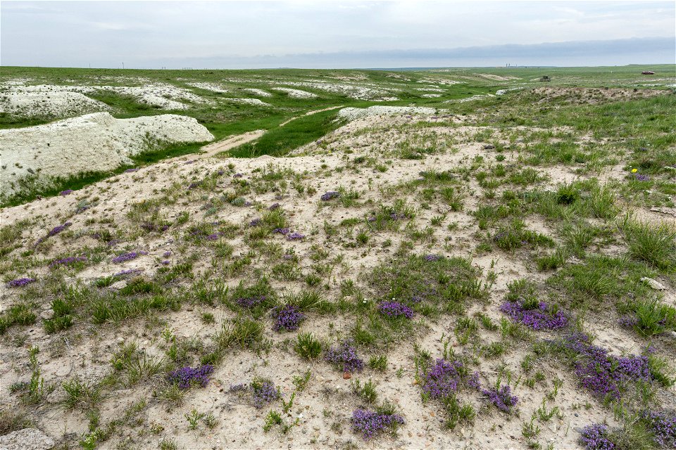 South-southeast of Pawnee Buttes