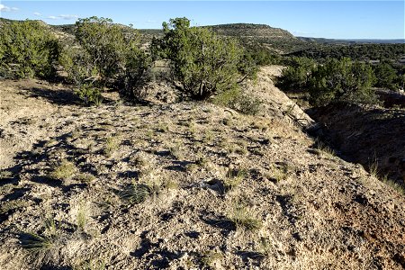 Near Grumble Gulch