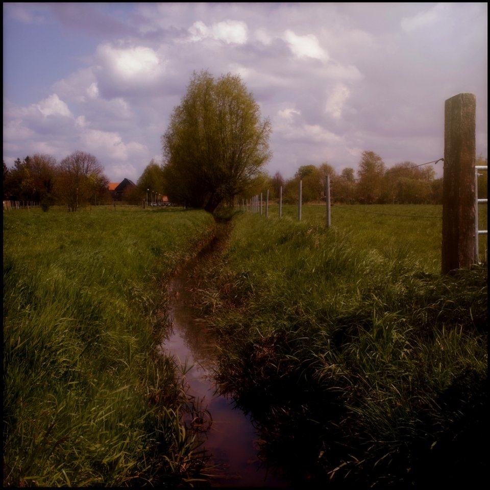 Ditch