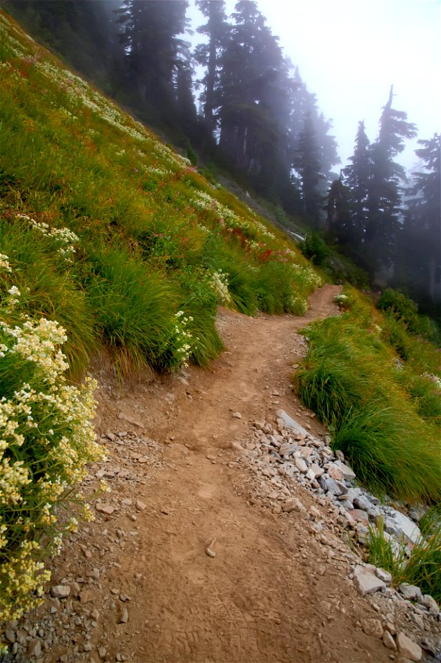 WTA-Chain of Lakes Tr-Heather Meadows-Mount Baker-29