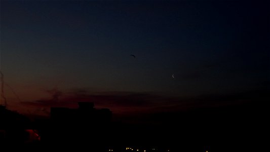 Moonrise_aft-sunset2023_0217_080847 photo