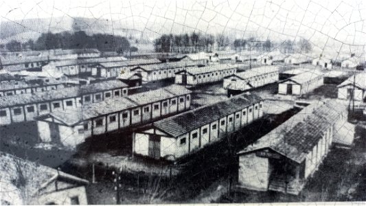 Cimetière du Camp du Vernet - Cemetery of the Vernet camp