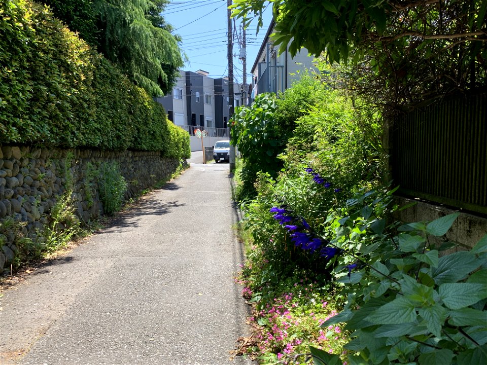 Honcho in Higashikurume-shi