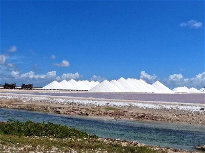 Salt pier Bonaire photo