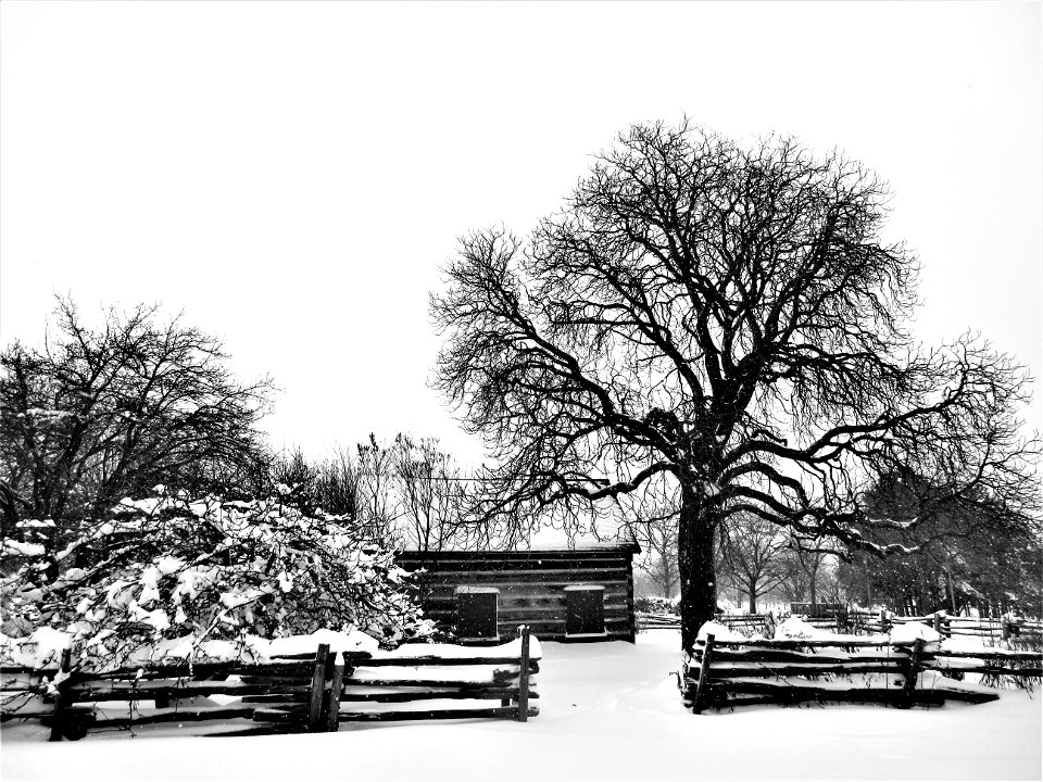 winter cabin