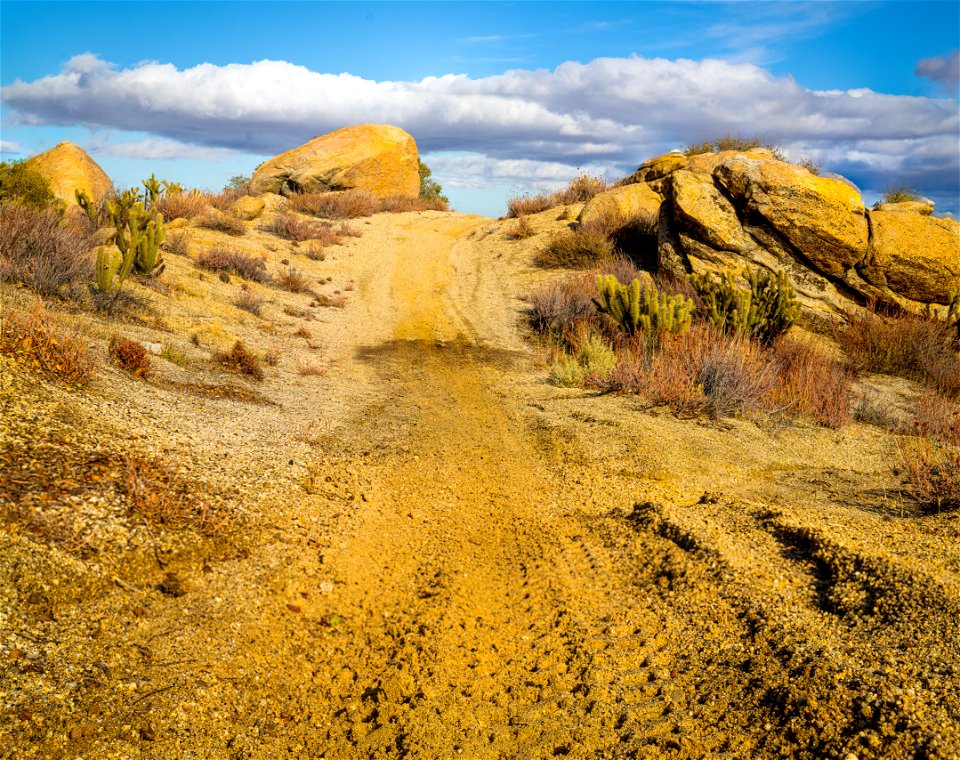 McCain Valley Resource Conservation Area