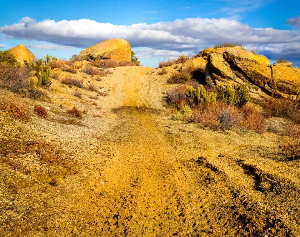 McCain Valley Resource Conservation Area photo