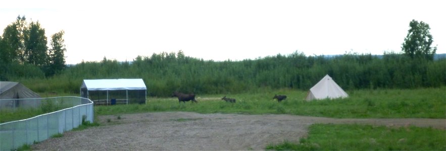 2015Koyukuk_Nowitna_GalenaScienceCamp (5) photo