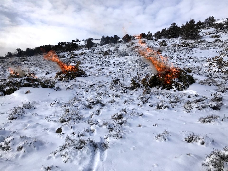Twin Lakes Prescribed Burn