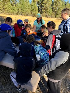 A group of kids learn about forest science at an Every Kid Outdoors Field Day