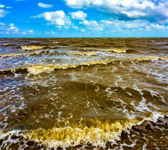 Seascape Windy day waves