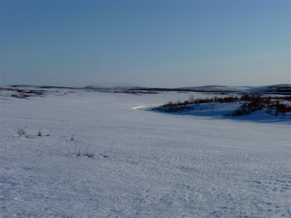 Allen Creek on May 7, 2012