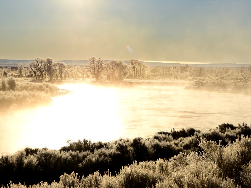 Hoar frost along the Green River at Seedsakdee NWR