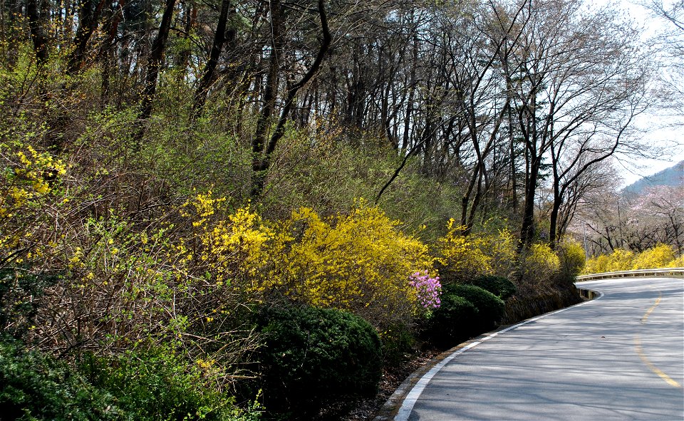Taejosan Mountain