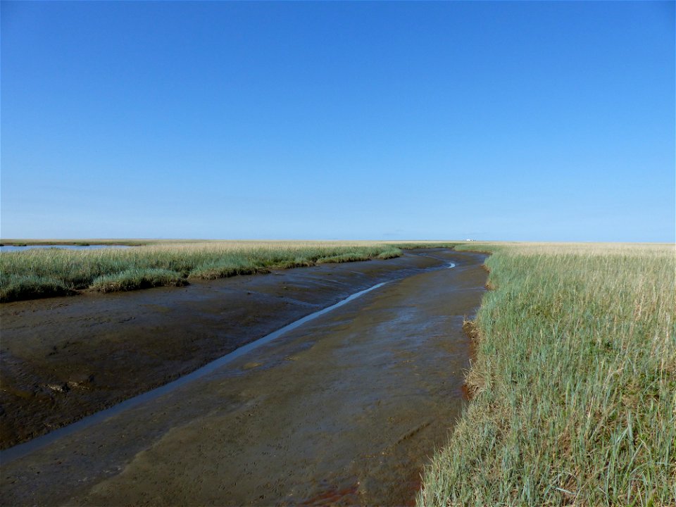 Kigigak Island tidal slough