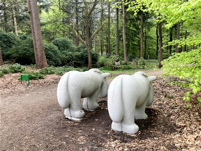 Zicht op de Heugemer  pony's van Tom Claassen 2008, Kroller Muller Park
