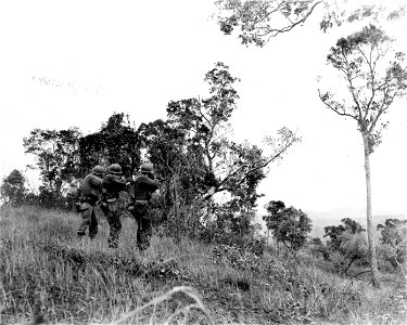 SC 270700 - Infantrymen of I Co., 20th Inf. Regt., 6th Div., advance up the side of a hill on the Kebayashi Line near Manila, Luzon, P.I.