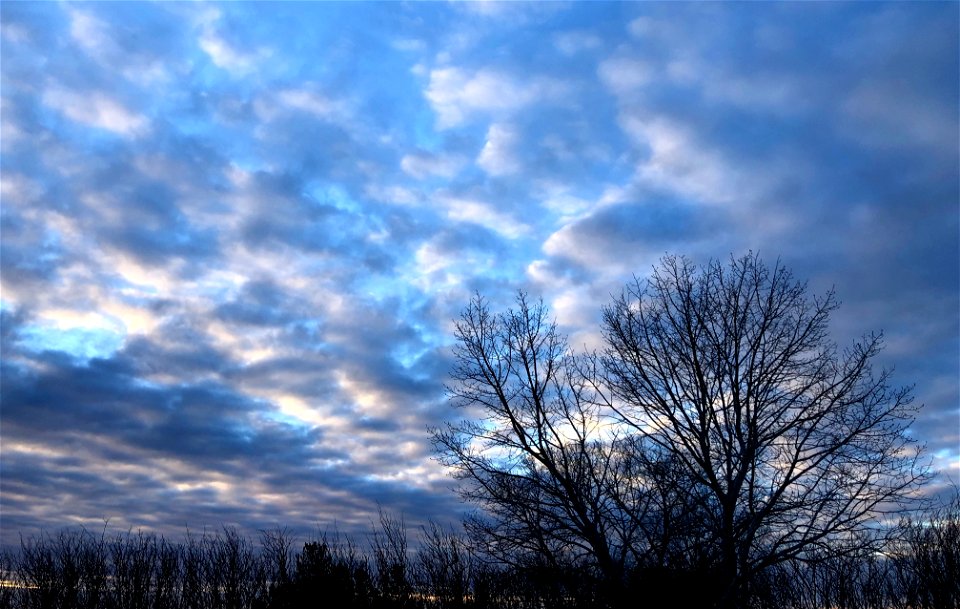 2021/365/331 Another Painted Sky