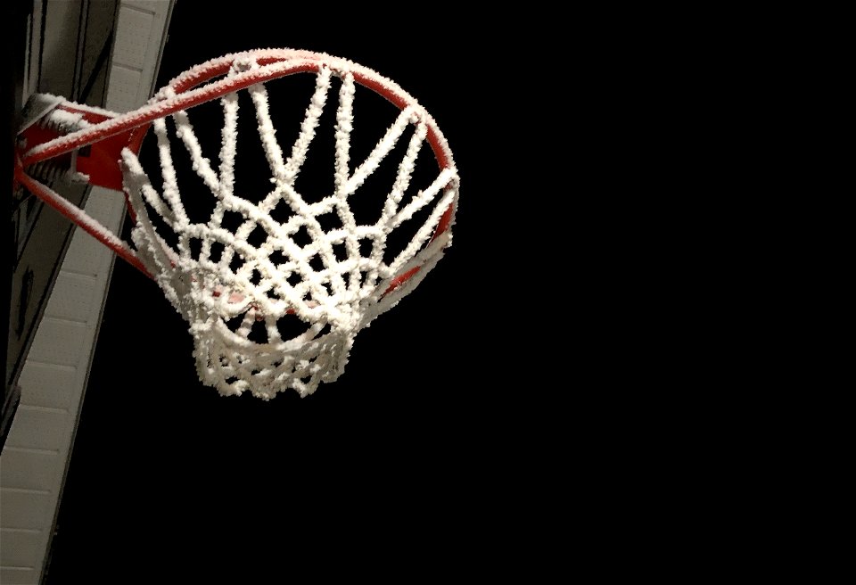 Nothing But Frosted Net