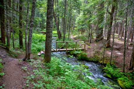 Gifford Pinchot National Forest Blue Lake Creek Trail, Great American Outdoors Act photo