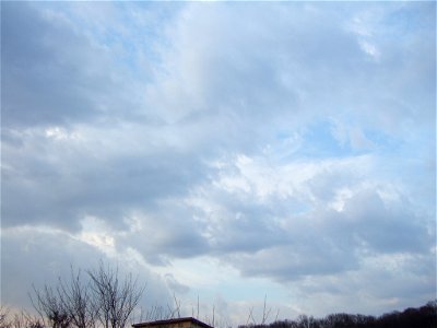 nori2010_0302_170858