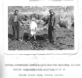 (1952) Pulled in Different Directions