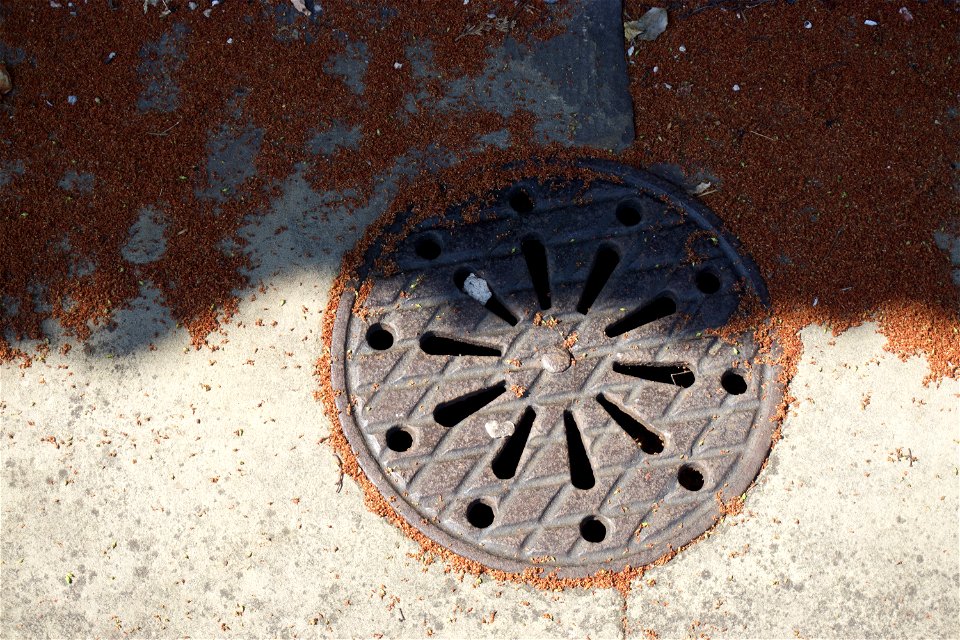 Coal Hole Covers West Malling Kent